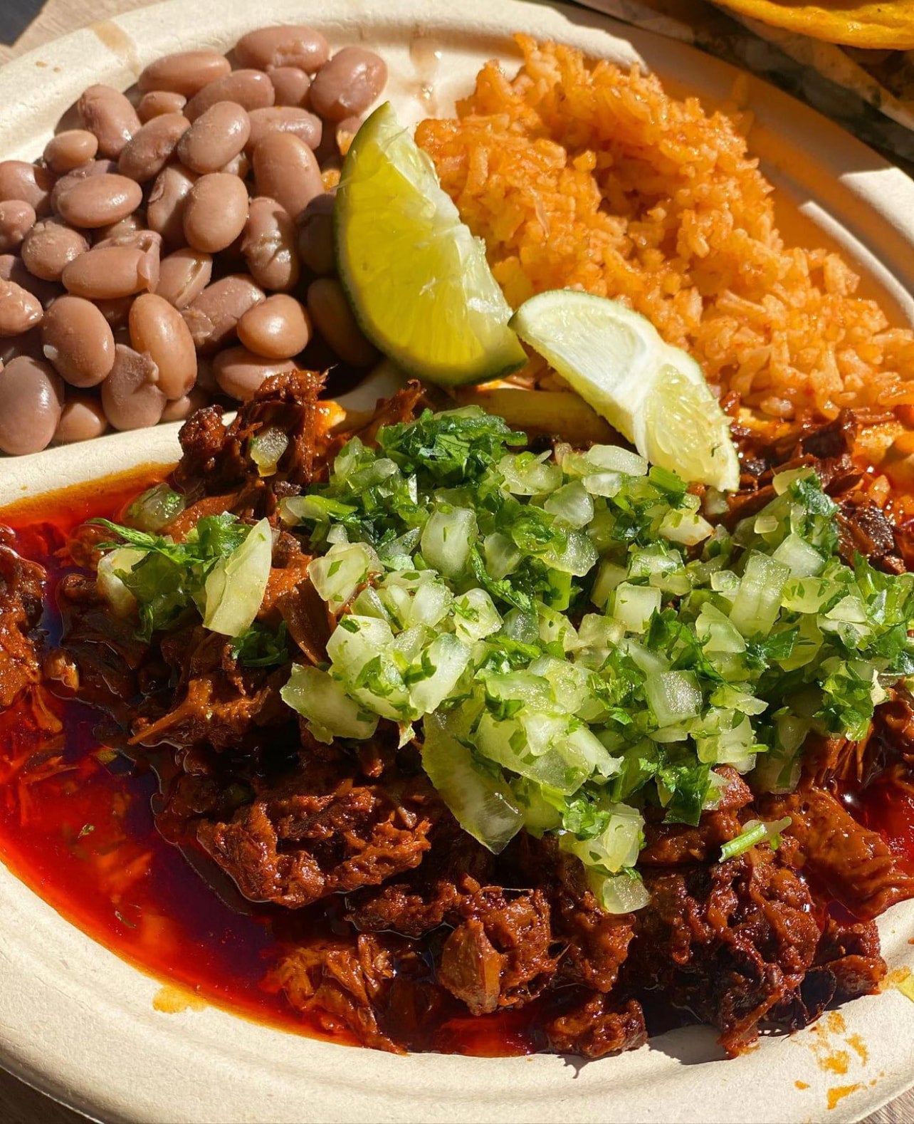 Birria Plate Viva Vegan Colton